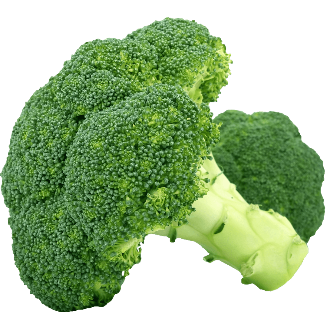 A large broccoli floret