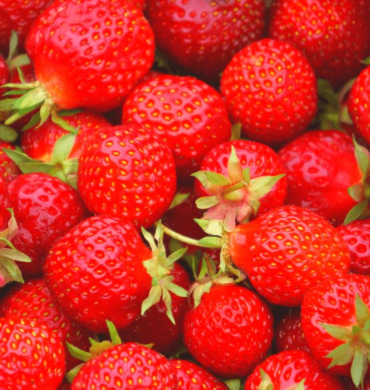 Close up of a tray of strawberries
